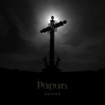 Обложка трека Voices