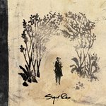 Обложка трека Hoppípolla