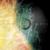 Modern Meat - Animals as Leaders