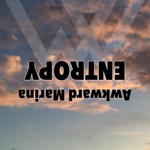 Обложка трека Entropy (Sim Gretina Remix)