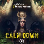 Обложка трека Calm Down