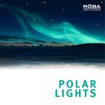 Обложка трека Floating Snowflakes