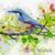 Wind, Waterstream and Birds (Nature Relax Sounds) - Nature Sounds Music