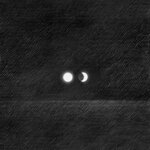 Обложка трека Venomous Moon