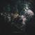 See Through Me - Orbit Culture