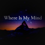 Обложка трека Where Is My Mind (From Fight Club)