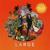 Large - Mellow Mood