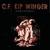 Spell I'm Under (Down Incognito) - Kip Winger