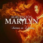 Обложка трека Madre Soltera