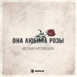 Обложка трека она любила розы но розы на морозе