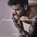 Обложка трека Strip That Down