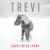 For the Best - Trevi