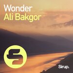 Обложка трека Wonder