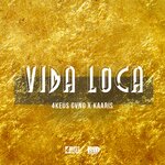 Обложка трека Vida Loca