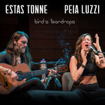 Обложка трека Bird's Teardrops