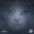 Interstellar Auditions - Flug