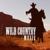 Mountain Sunrise - Whiskey Country Band