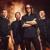 Poison In Your Vains - Alter Bridge