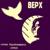 Тень - Павел Верхотуров