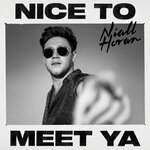 Обложка трека Nice To Meet Ya