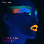 Обложка трека Amor