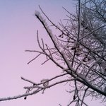Обложка трека Сон