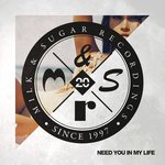 Обложка трека Need You in My Life