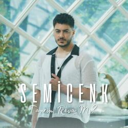 Обложка трека Tanrım Reva Mı