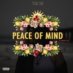 Обложка трека Peace of Mind