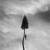 The Moth - Manchester Orchestra