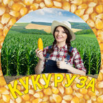 Обложка трека Выше вершины гор