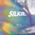 Don't DJ for Free - Silkie
