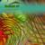 Fire Flower - Rodney Torro