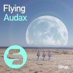 Обложка трека Flying