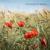Free Looped Pink Noise (Noise for Babies Sleeping) - Looped Relax Noise