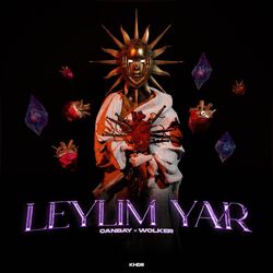 Обложка трека Leylim Yar
