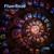 The Spiral - FluorEnzo
