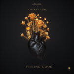 Обложка трека Feeling Good