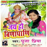Обложка трека Kitni Achhi Kitani Pyari