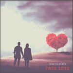 Обложка трека True Love