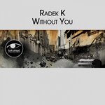 Обложка трека The Tropical Sand