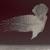 Sanction - Katatonia