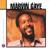 I'll Be Doggone - Marvin Gaye