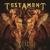 3 Days in Darkness - Testament