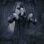 Holding out for a Hero - Sopor Aeternus & The Ensemble Of Shadows