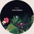 Overture - Solange B