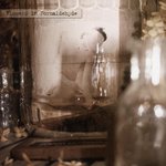 Обложка трека Von der Einfalt