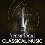 Обложка трека Champagne Polka, Op. 211