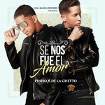 Обложка трека Se Nos Fue el Amor
