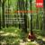 Concerto No. 3 in F (L'autunno/ Autumn) RV293 (Op. 8 No. 3): II.  Adagio molto - Anne-Sophie Mutter